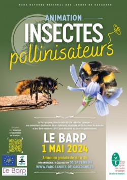 pollinisateurs.jpg