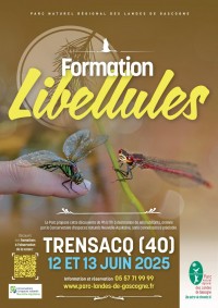 LIBELLULES.jpg